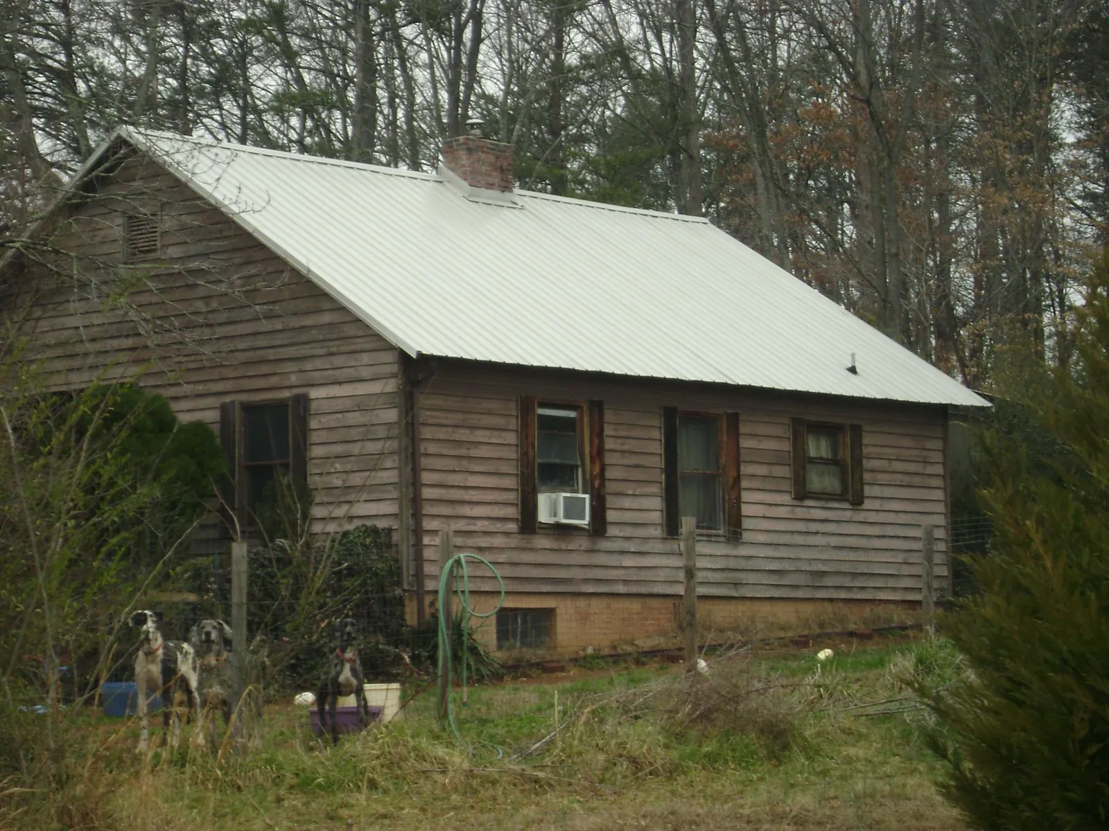 White metal roof on an old wood sided farmhouse, from a Asphalt Shingle Roof Repair job in Little River